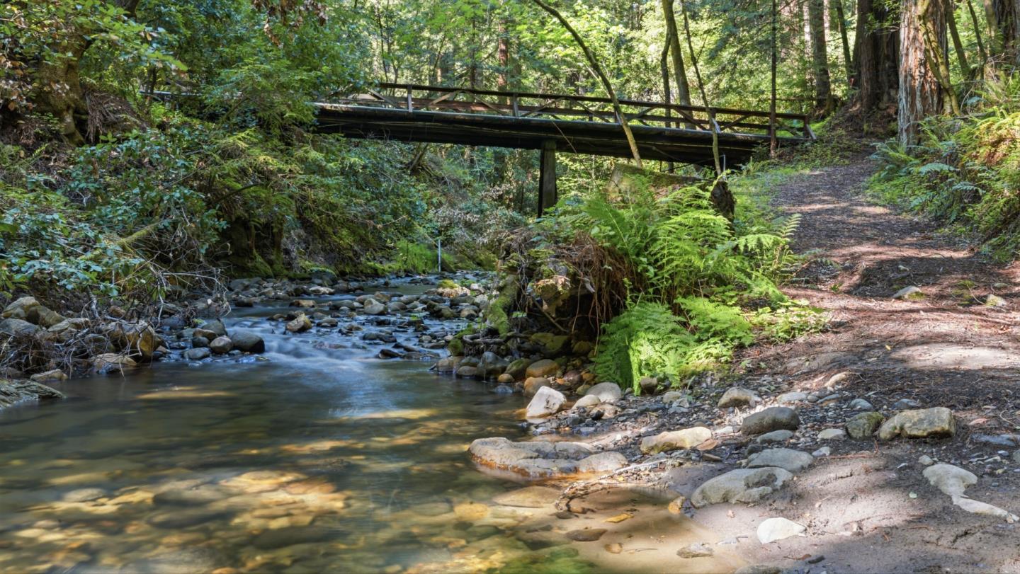 Detail Gallery Image 96 of 104 For 41 Back Rd, La Honda,  CA 94020 - 4 Beds | 3 Baths