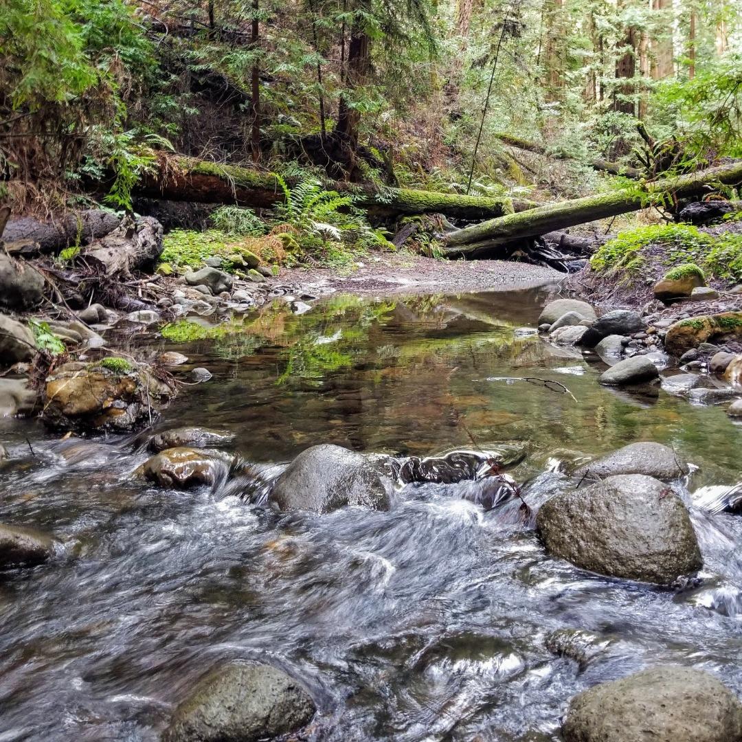 Detail Gallery Image 97 of 104 For 41 Back Rd, La Honda,  CA 94020 - 4 Beds | 3 Baths