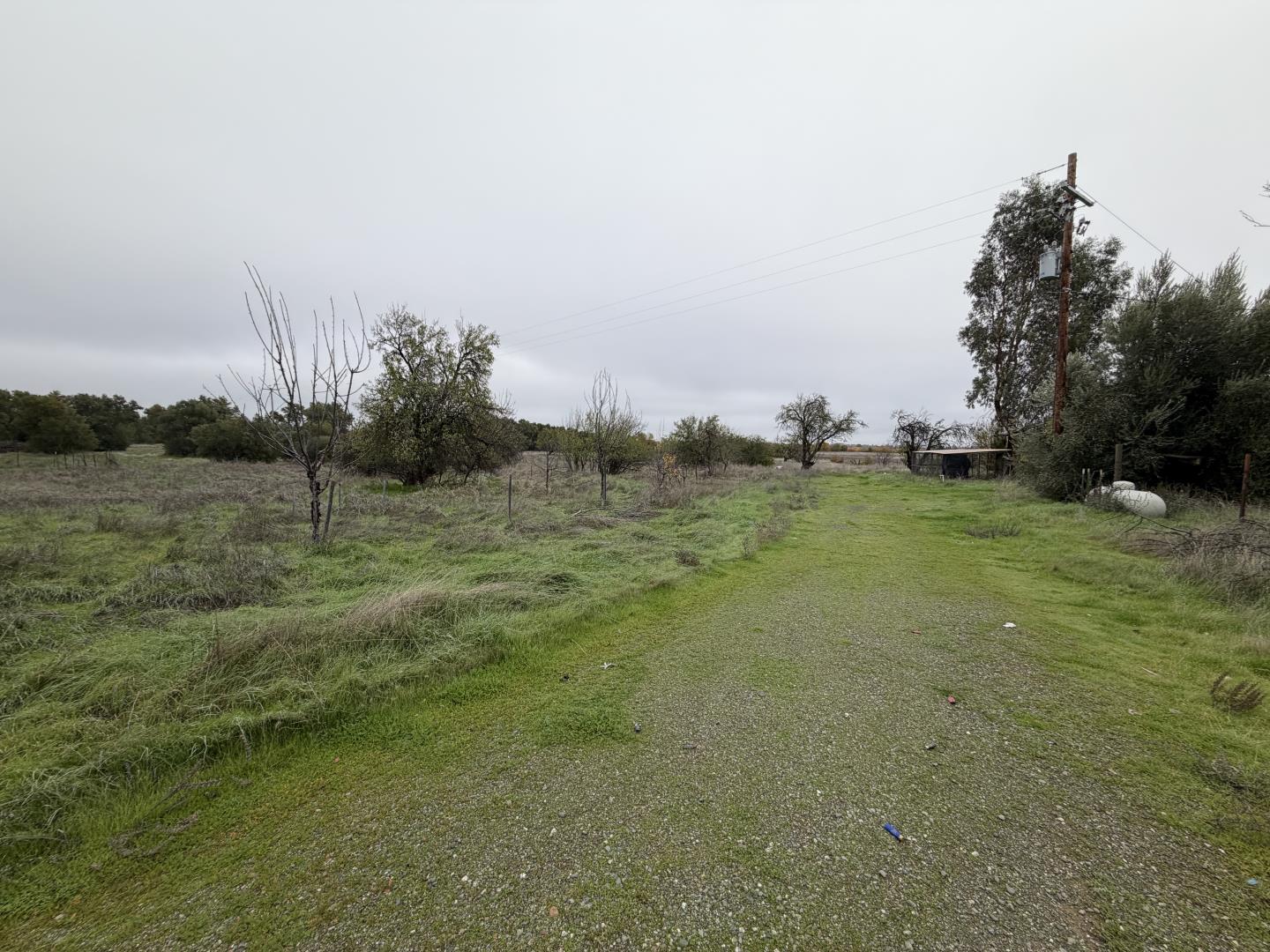 Detail Gallery Image 2 of 15 For 27643 County Road 88, Winters,  CA 95694 - 1 Beds | 1 Baths