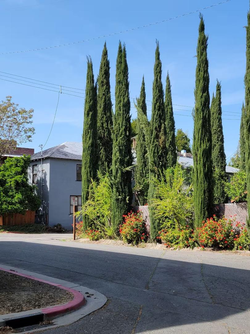 Detail Gallery Image 18 of 19 For 14090 Winnie St, Walnut Grove,  CA 95690 - 5 Beds | 1/3 Baths