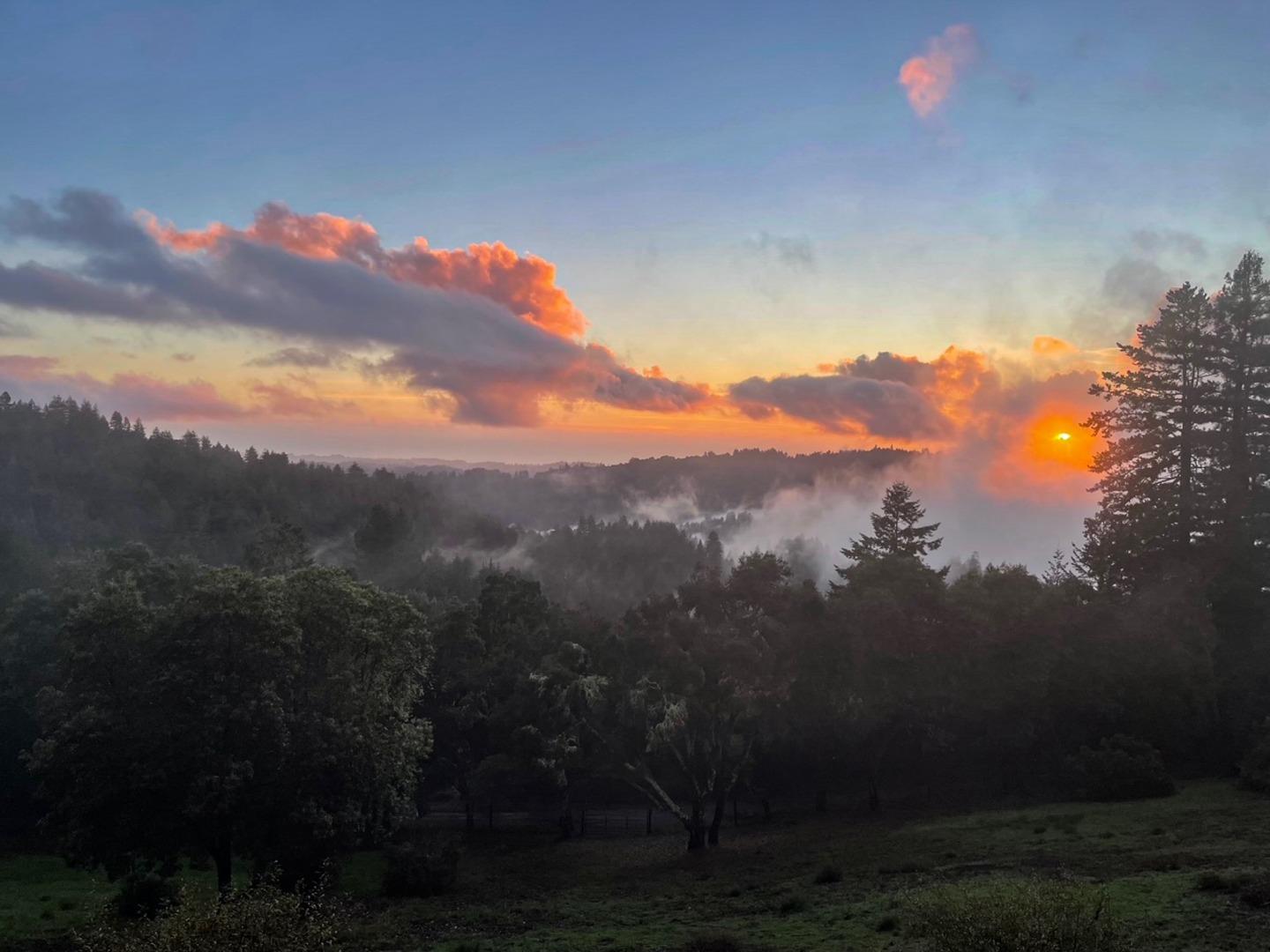 Detail Gallery Image 101 of 104 For 1584 Tindall Ranch Rd, Corralitos,  CA 95076 - 2 Beds | 1/1 Baths