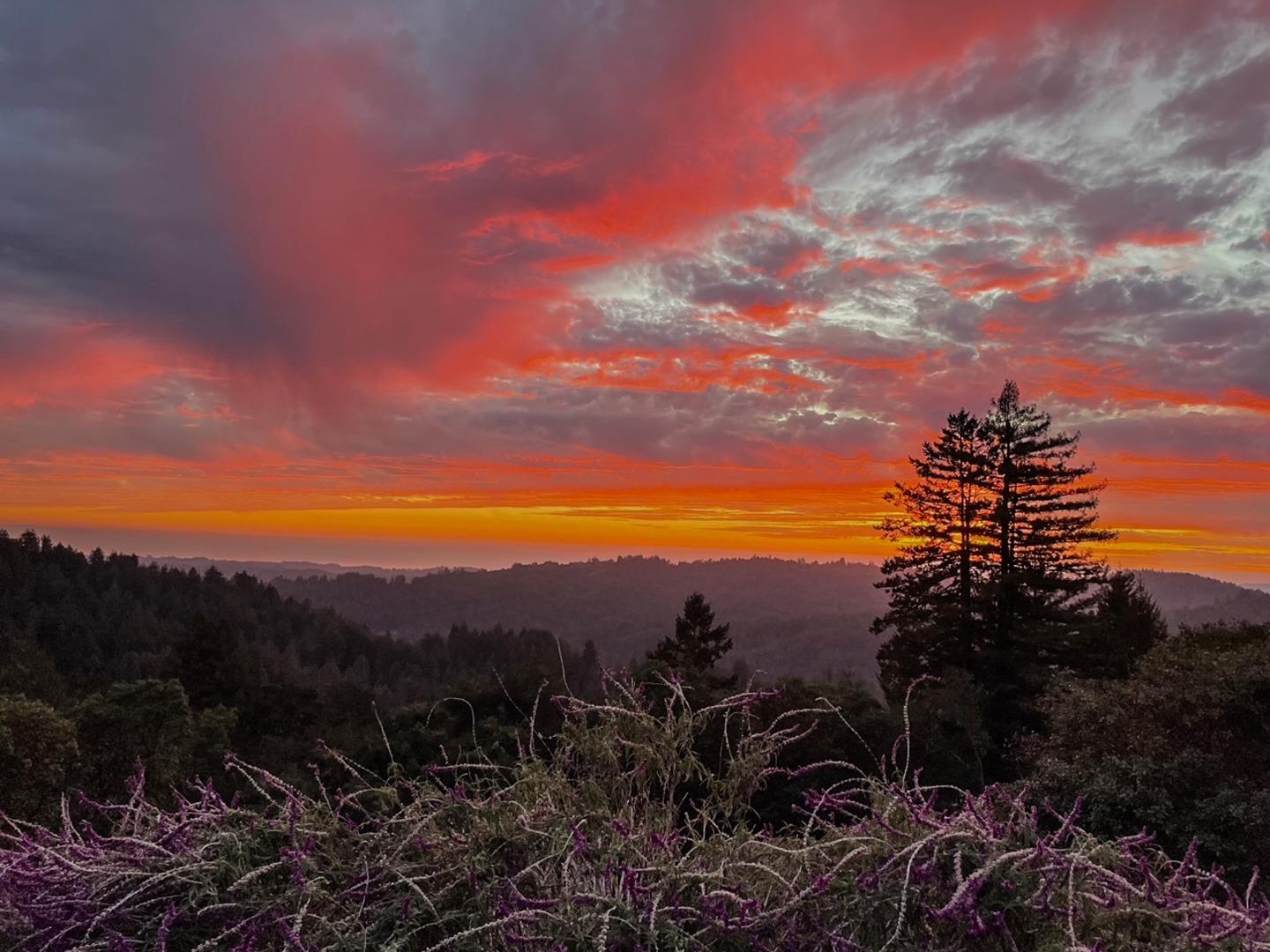 Detail Gallery Image 36 of 104 For 1584 Tindall Ranch Rd, Corralitos,  CA 95076 - 2 Beds | 1/1 Baths