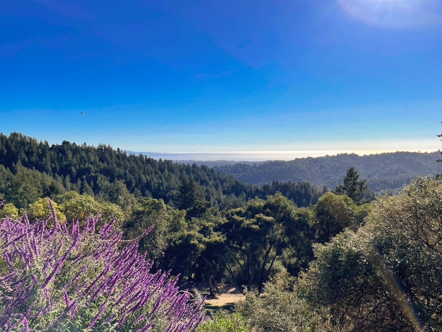 Detail Gallery Image 43 of 104 For 1584 Tindall Ranch Rd, Corralitos,  CA 95076 - 2 Beds | 1/1 Baths