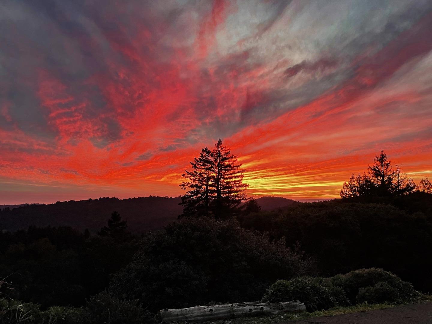 Detail Gallery Image 62 of 104 For 1584 Tindall Ranch Rd, Corralitos,  CA 95076 - 2 Beds | 1/1 Baths