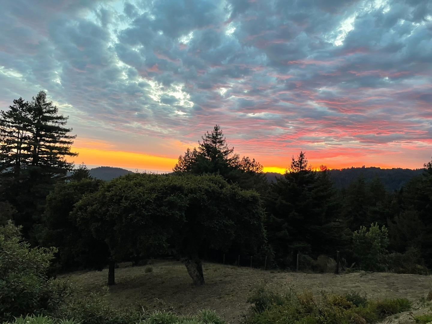 Detail Gallery Image 88 of 104 For 1584 Tindall Ranch Rd, Corralitos,  CA 95076 - 2 Beds | 1/1 Baths