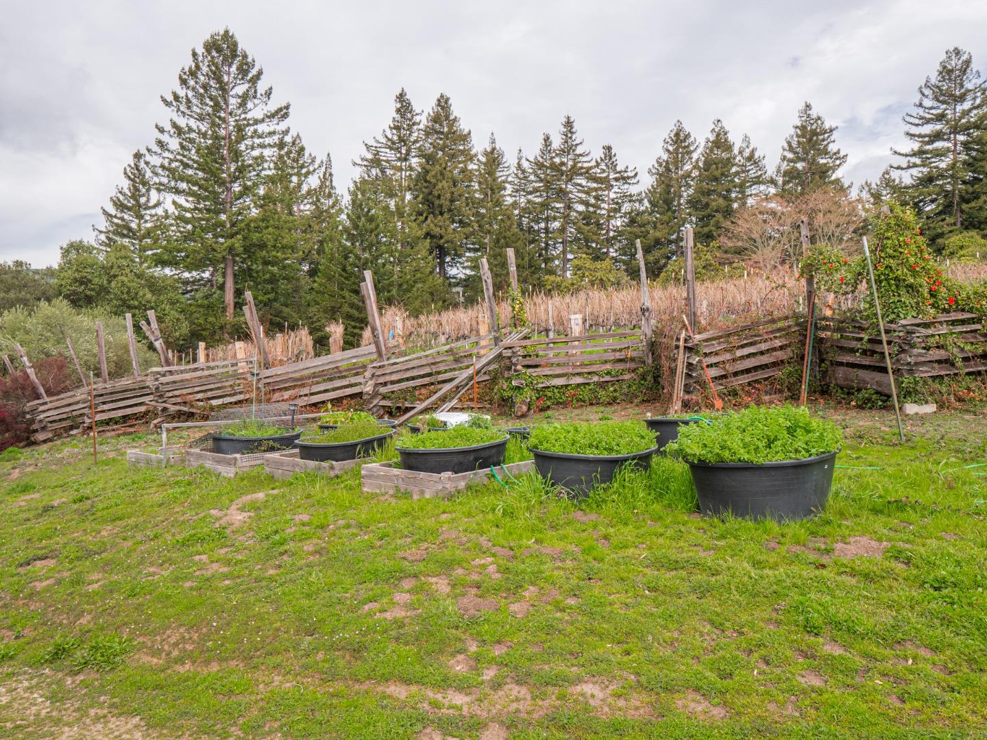 Detail Gallery Image 98 of 104 For 1584 Tindall Ranch Rd, Corralitos,  CA 95076 - 2 Beds | 1/1 Baths