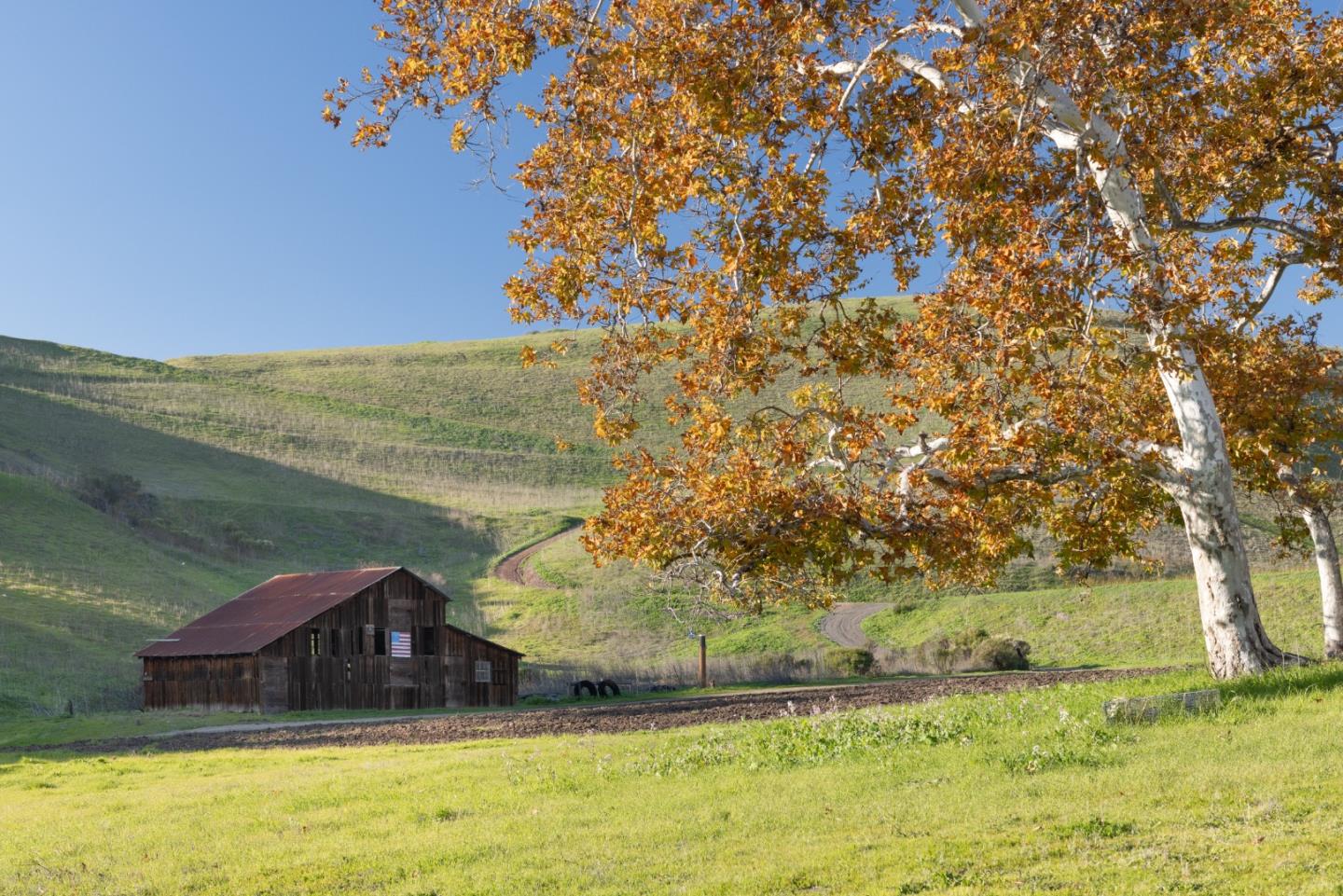 2000 Scott Creek Road, Milpitas, CA, 95035