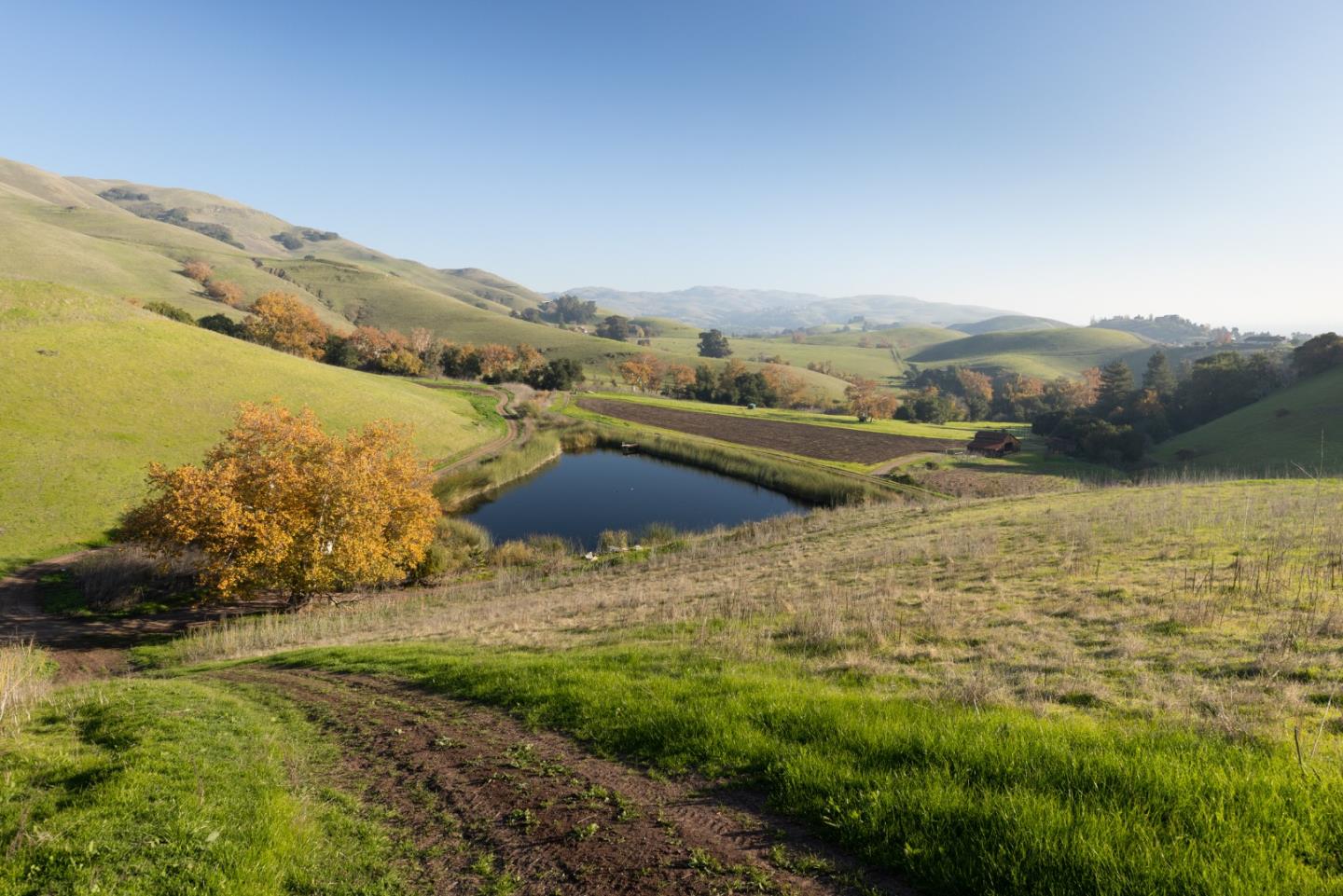 2000 Scott Creek Road, Milpitas, CA, 95035
