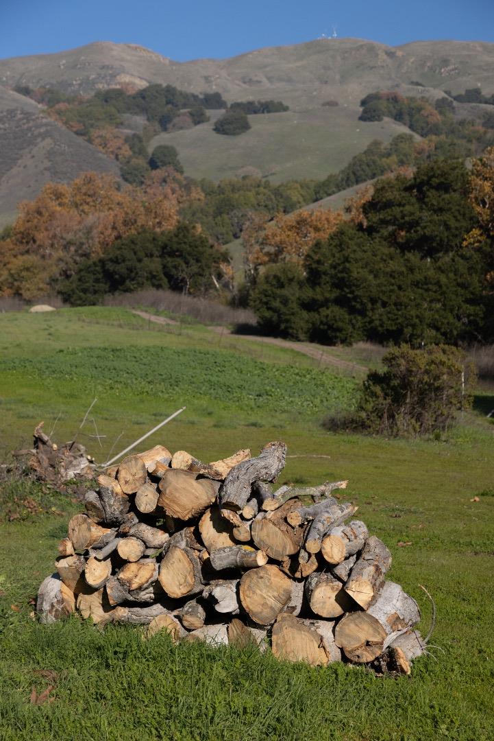 Detail Gallery Image 15 of 89 For 2000 Scott Creek Rd, Milpitas,  CA 95035 - – Beds | – Baths