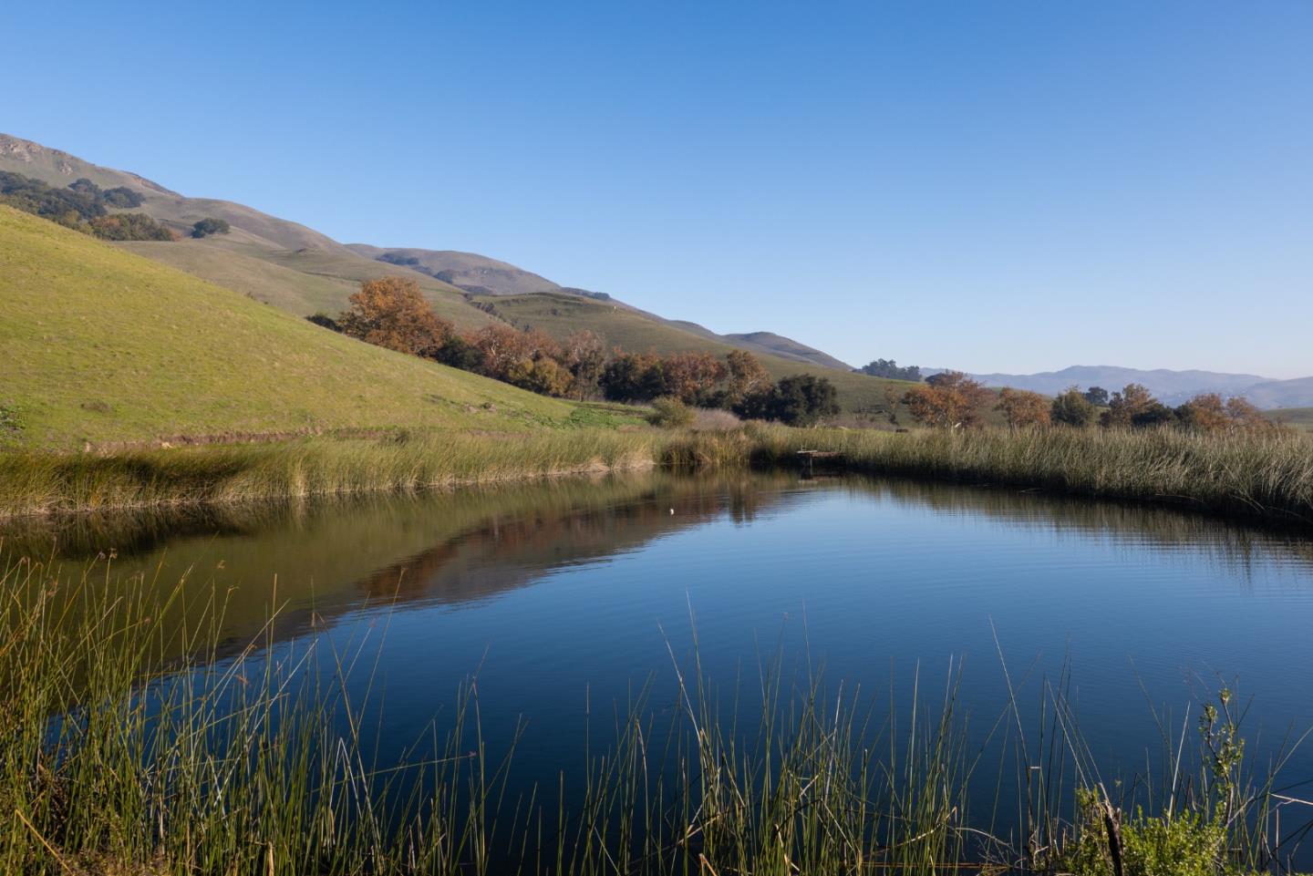 Detail Gallery Image 28 of 89 For 2000 Scott Creek Rd, Milpitas,  CA 95035 - – Beds | – Baths