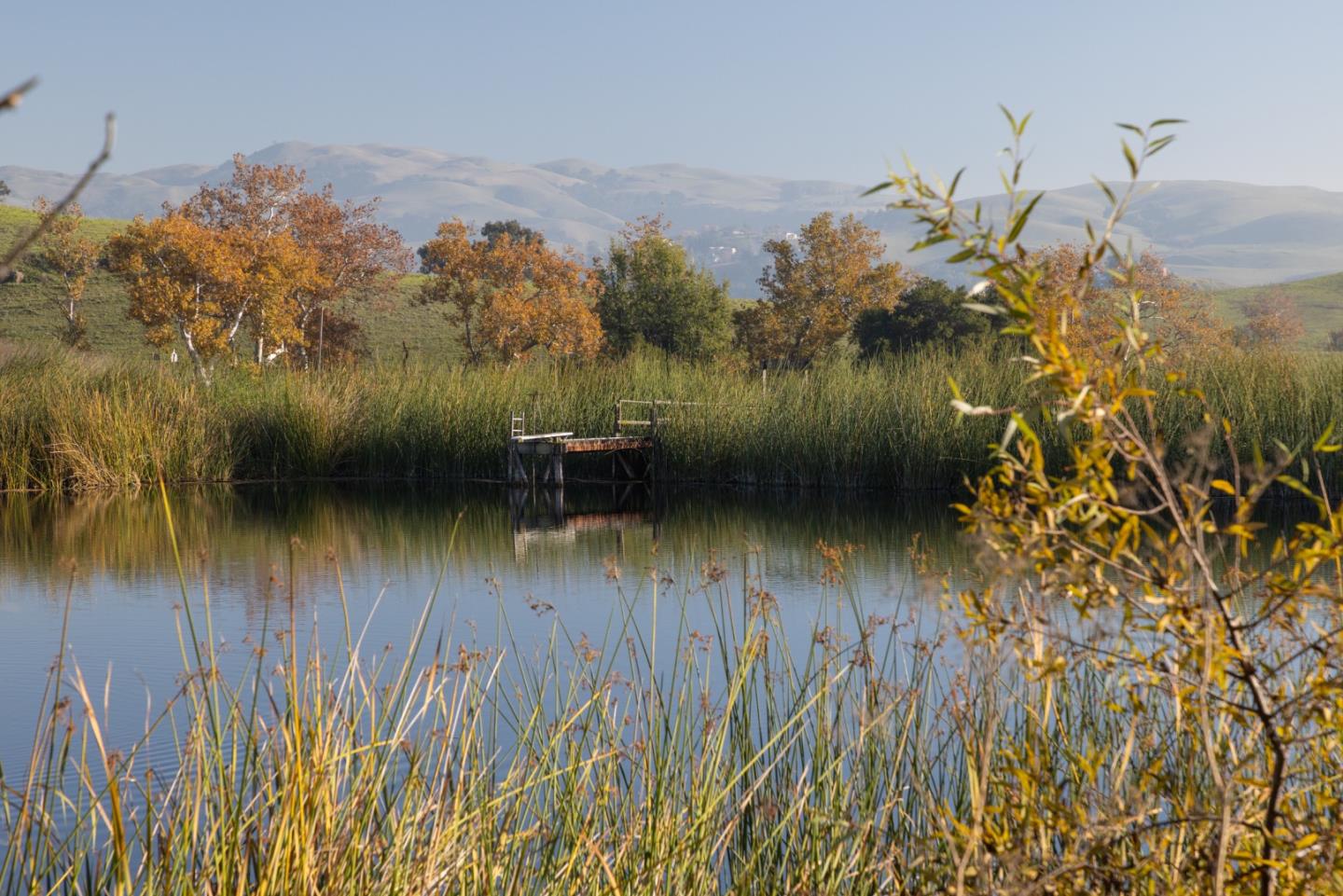 Detail Gallery Image 29 of 89 For 2000 Scott Creek Rd, Milpitas,  CA 95035 - – Beds | – Baths