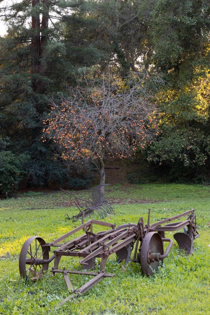 Detail Gallery Image 45 of 89 For 2000 Scott Creek Rd, Milpitas,  CA 95035 - – Beds | – Baths