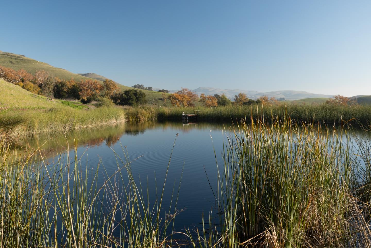 2000 Scott Creek Road, Milpitas, CA, 95035