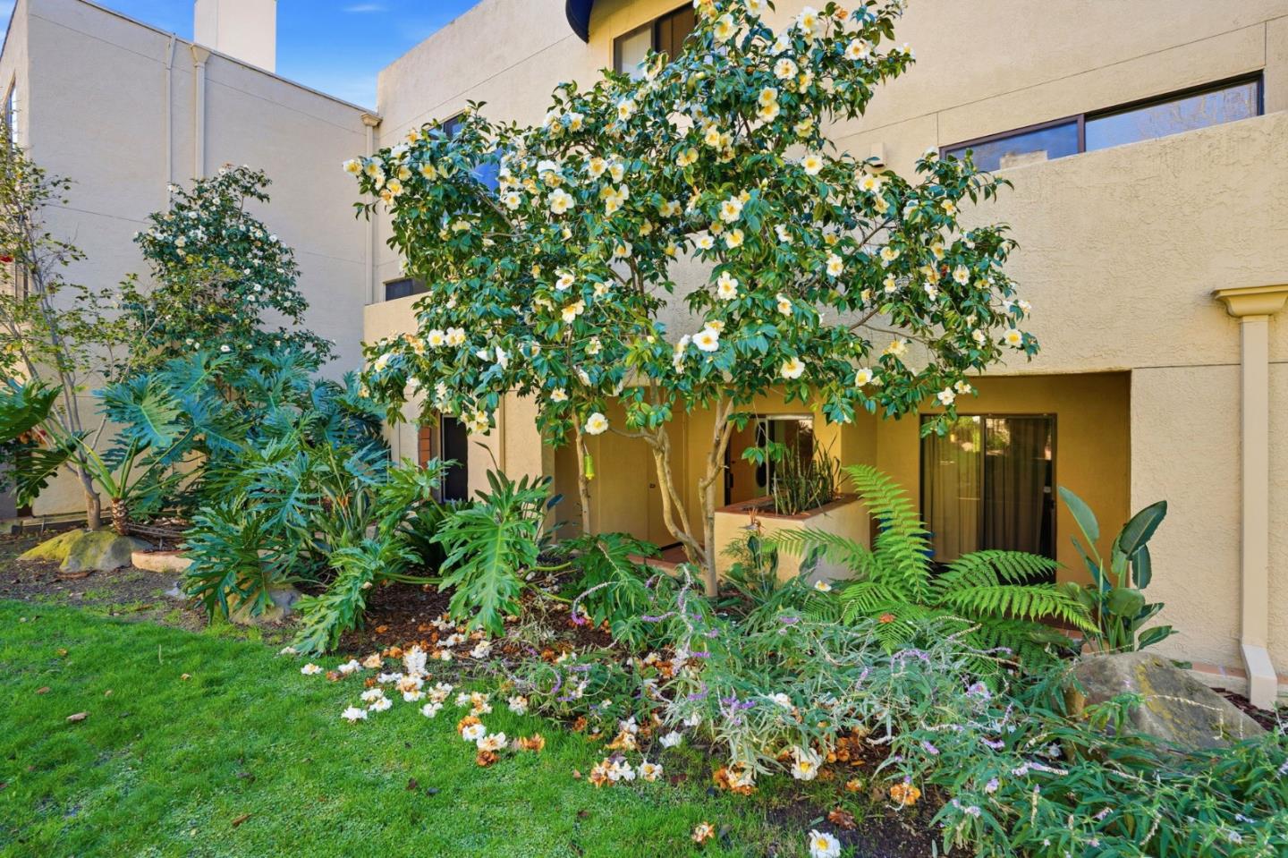 Photo #26: ML82030904 Listing: Photo #26