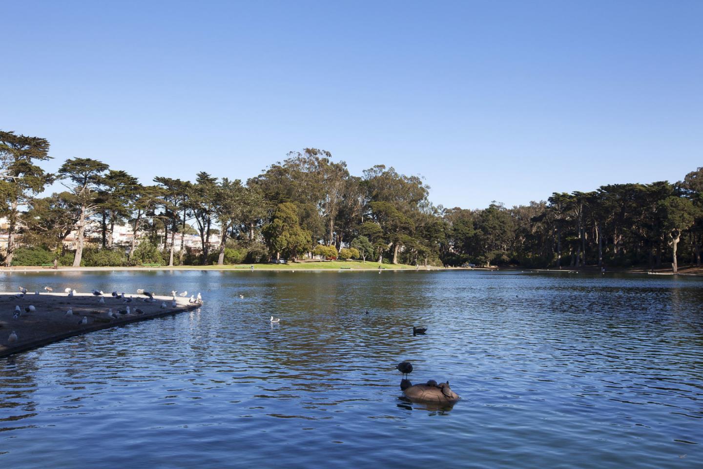 Detail Gallery Image 96 of 102 For 494 46th Ave, San Francisco,  CA 94121 - 4 Beds | 4 Baths