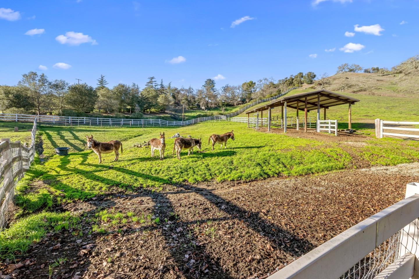 Detail Gallery Image 87 of 141 For 6915 Redwood Retreat Rd, Gilroy,  CA 95020 - 7 Beds | 5 Baths