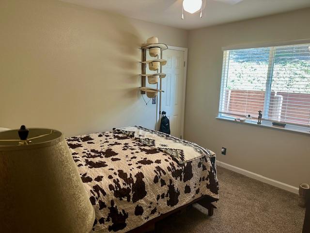Detail Gallery Image 18 of 35 For 8525 Southside Rd, Tres Pinos,  CA 95075 - 3 Beds | 2 Baths