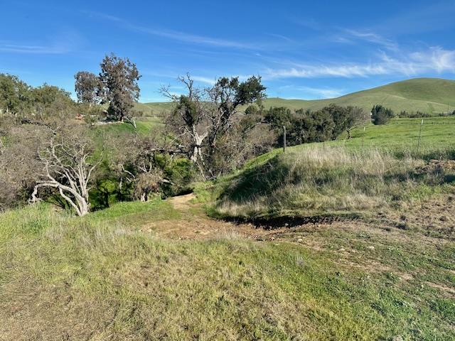 Detail Gallery Image 31 of 35 For 8525 Southside Rd, Tres Pinos,  CA 95075 - 3 Beds | 2 Baths