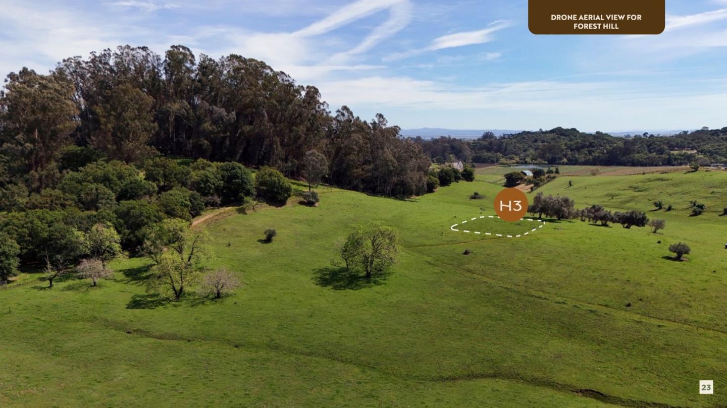 Detail Gallery Image 10 of 21 For 1289 Thompson Ave, Napa,  CA 94558 - – Beds | – Baths