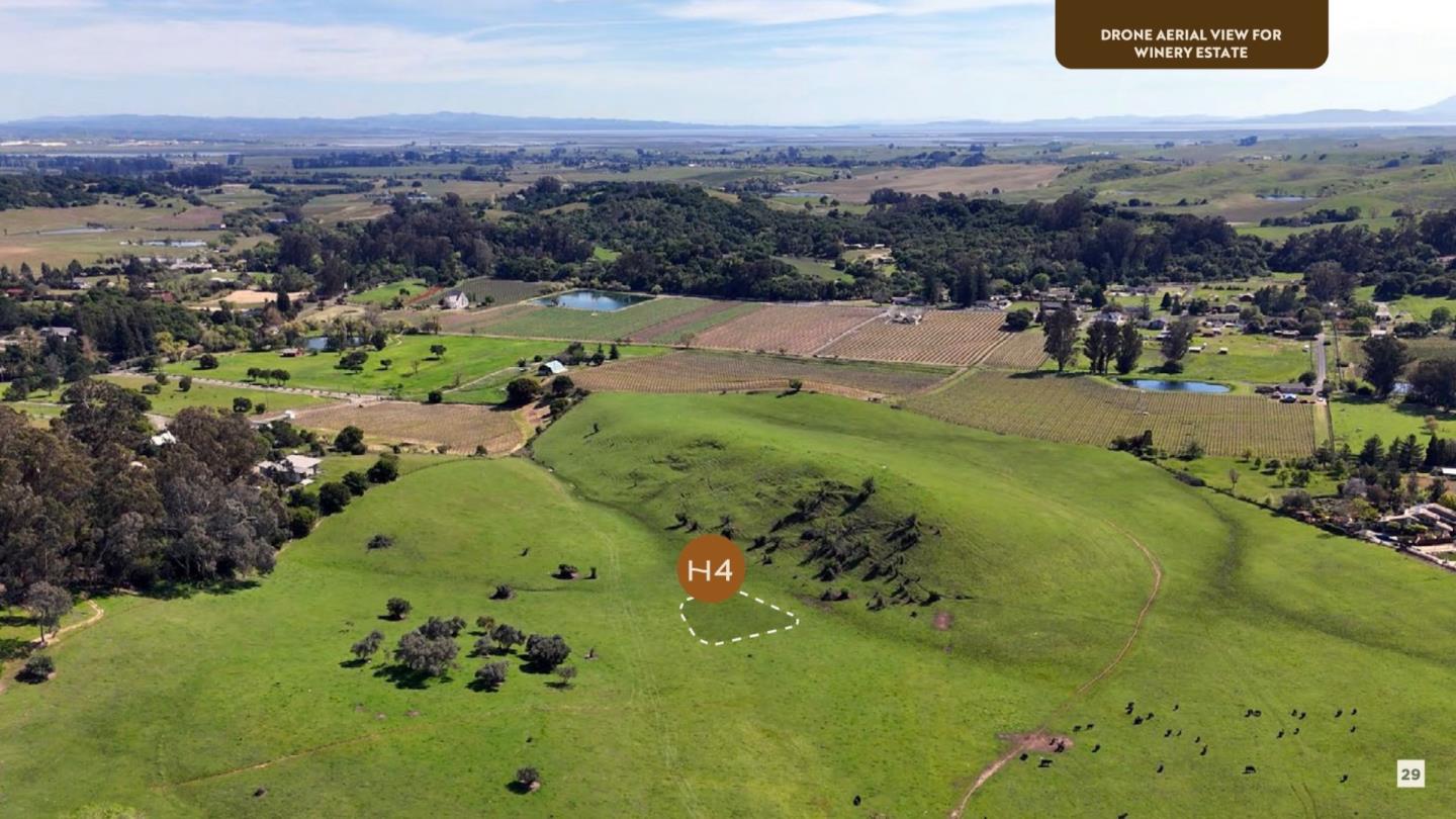 Detail Gallery Image 11 of 21 For 1289 Thompson Ave, Napa,  CA 94558 - – Beds | – Baths