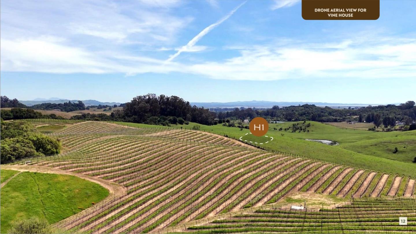 Detail Gallery Image 6 of 21 For 1289 Thompson Ave, Napa,  CA 94558 - – Beds | – Baths