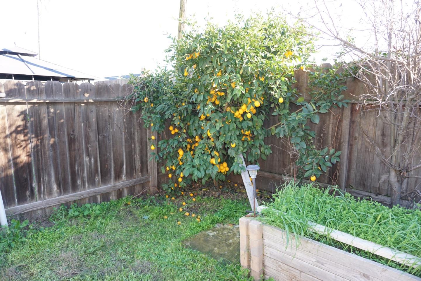 Detail Gallery Image 34 of 39 For 1016 Lombardy Dr, Modesto,  CA 95351 - 3 Beds | 3 Baths