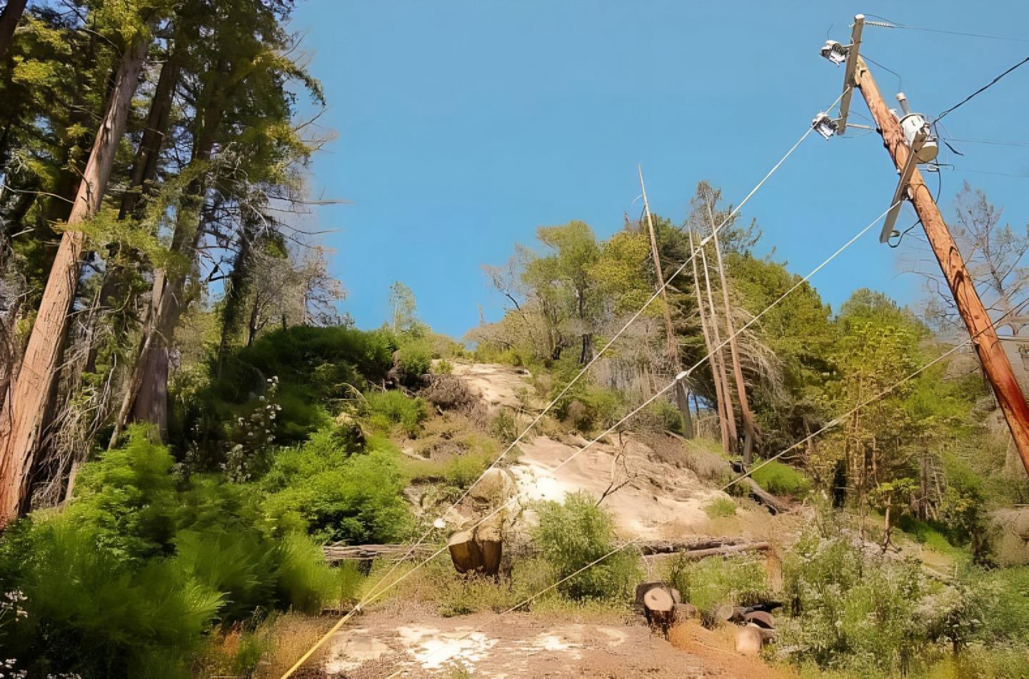 Detail Gallery Image 10 of 15 For 14965 Virginia Ave, Boulder Creek,  CA 95006 - – Beds | – Baths