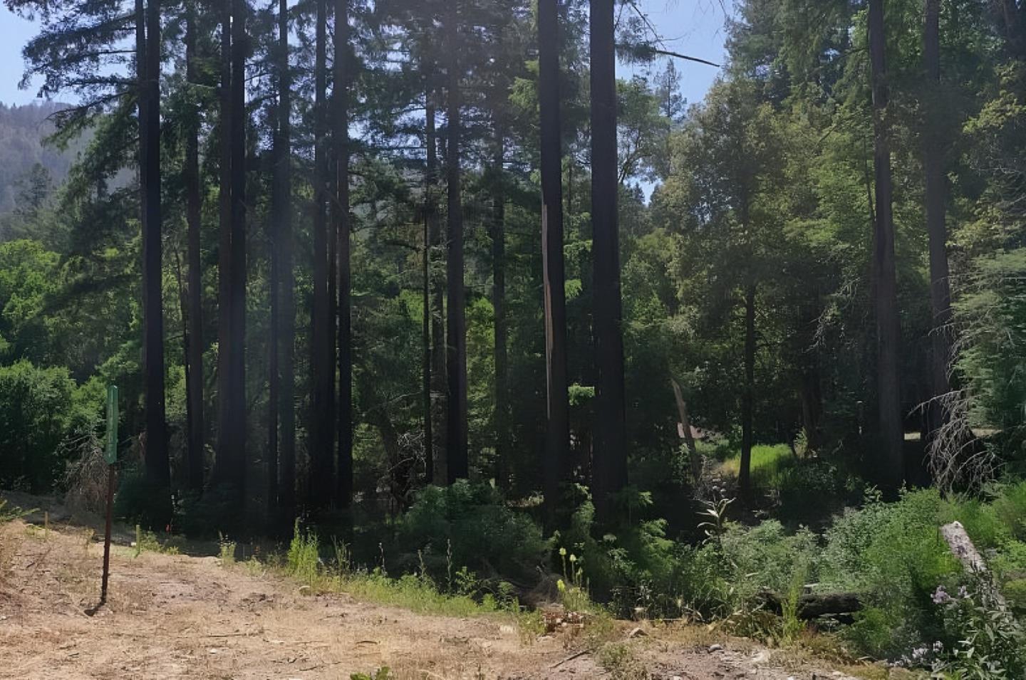 Detail Gallery Image 2 of 15 For 14965 Virginia Ave, Boulder Creek,  CA 95006 - – Beds | – Baths