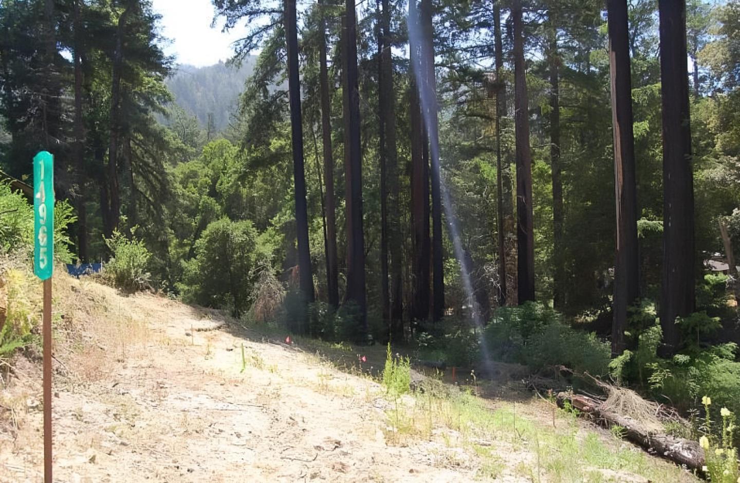 Detail Gallery Image 3 of 15 For 14965 Virginia Ave, Boulder Creek,  CA 95006 - – Beds | – Baths