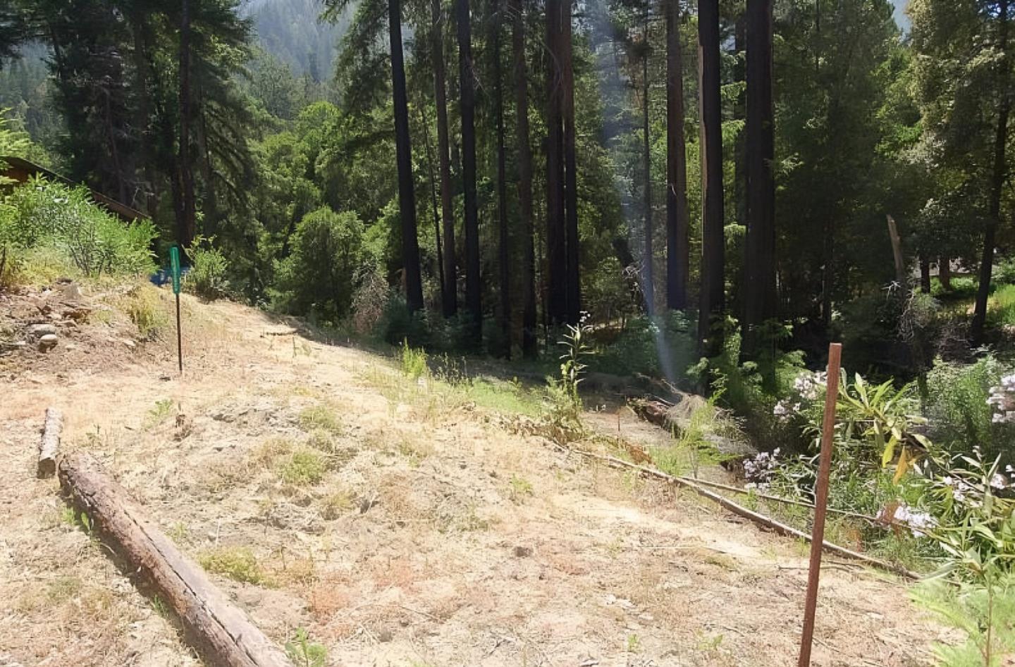 Detail Gallery Image 4 of 15 For 14965 Virginia Ave, Boulder Creek,  CA 95006 - – Beds | – Baths