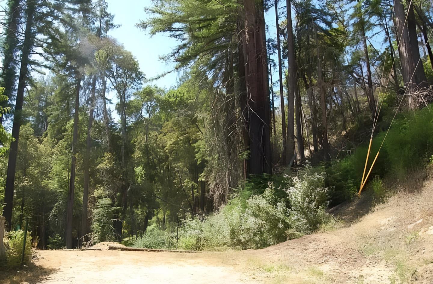 Detail Gallery Image 5 of 15 For 14965 Virginia Ave, Boulder Creek,  CA 95006 - – Beds | – Baths