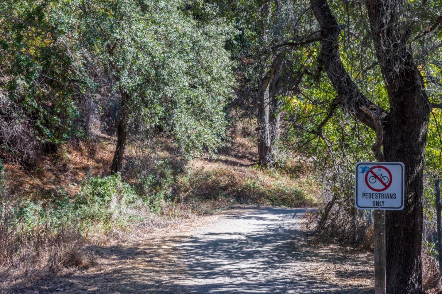 Photo #53: ML82031006 Listing: Photo #53