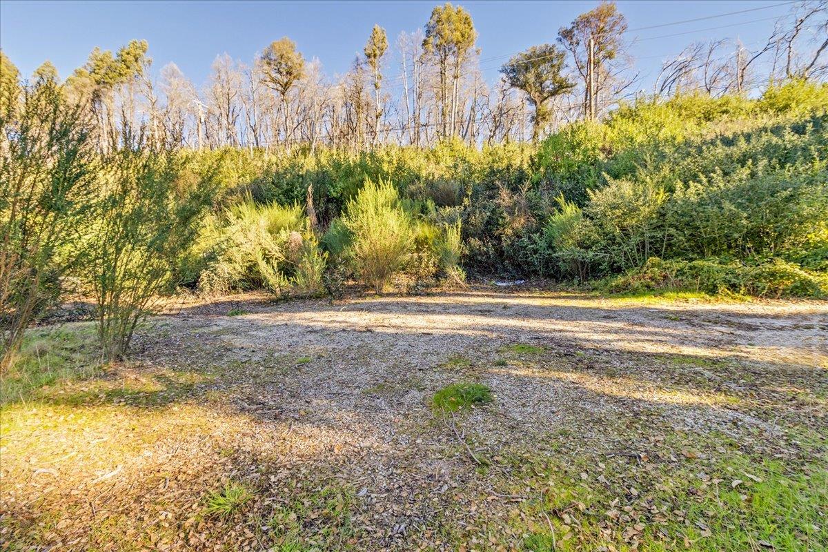 Detail Gallery Image 10 of 28 For 11035 Empire Grade, Santa Cruz,  CA 95060 - – Beds | – Baths