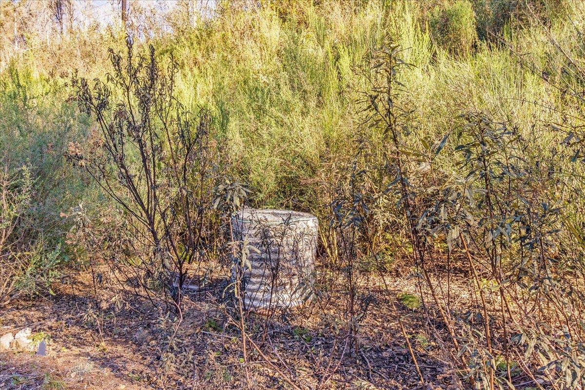 Detail Gallery Image 11 of 28 For 11035 Empire Grade, Santa Cruz,  CA 95060 - – Beds | – Baths