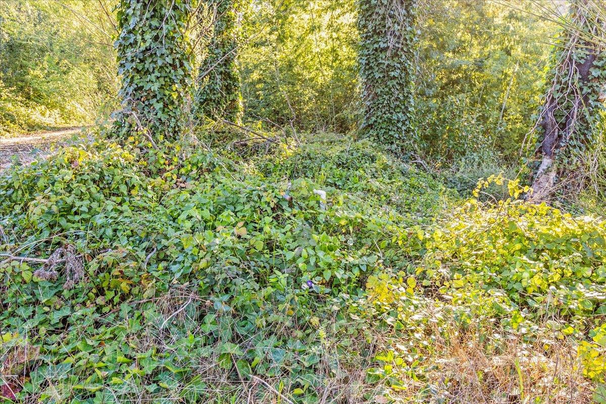 Detail Gallery Image 12 of 28 For 11035 Empire Grade, Santa Cruz,  CA 95060 - – Beds | – Baths