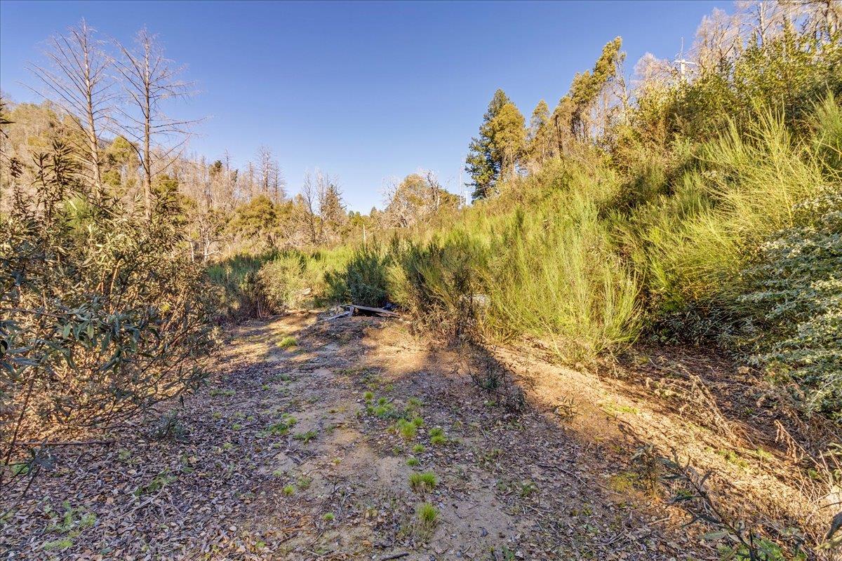 Detail Gallery Image 13 of 28 For 11035 Empire Grade, Santa Cruz,  CA 95060 - – Beds | – Baths