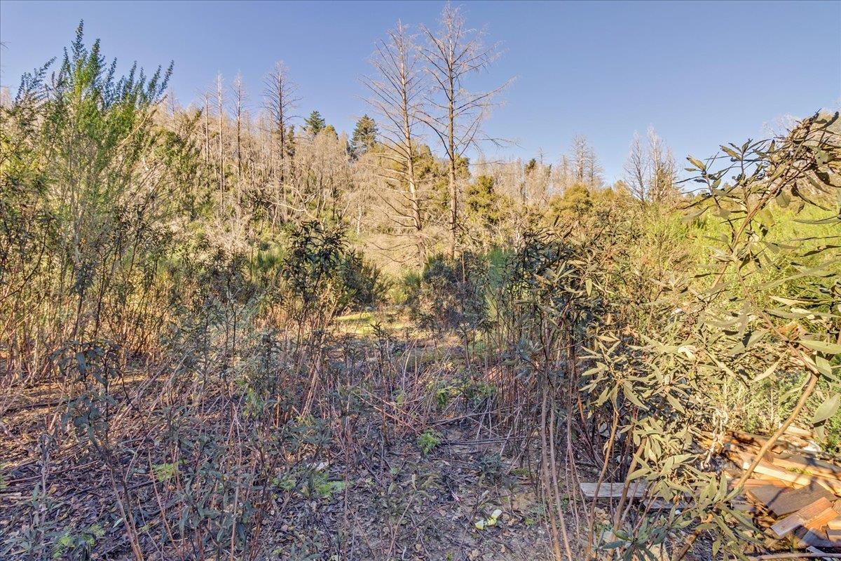 Detail Gallery Image 14 of 28 For 11035 Empire Grade, Santa Cruz,  CA 95060 - – Beds | – Baths