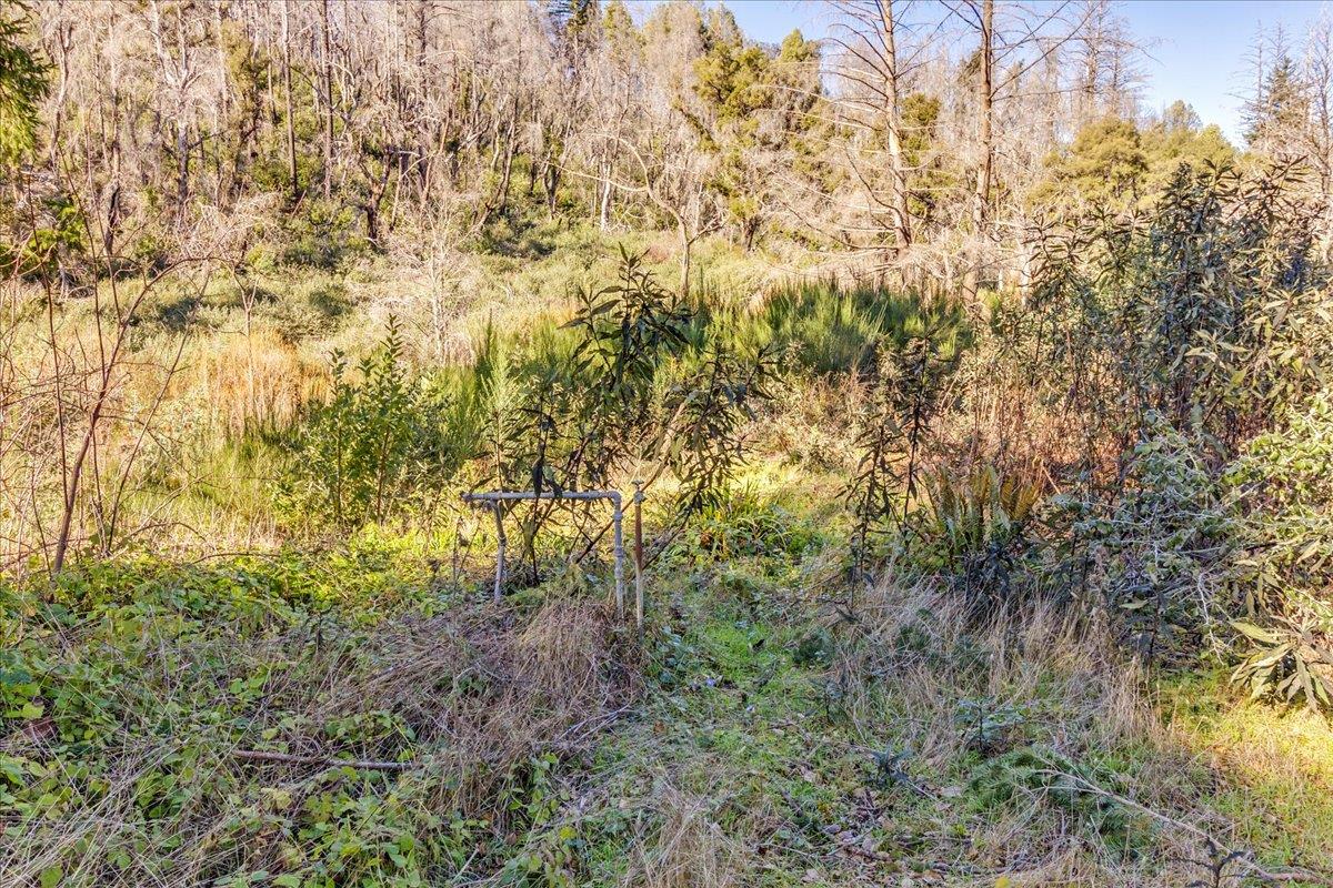 Detail Gallery Image 15 of 28 For 11035 Empire Grade, Santa Cruz,  CA 95060 - – Beds | – Baths