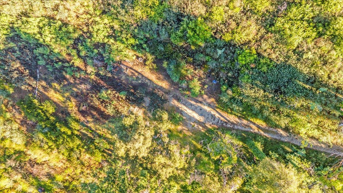 Detail Gallery Image 16 of 28 For 11035 Empire Grade, Santa Cruz,  CA 95060 - – Beds | – Baths