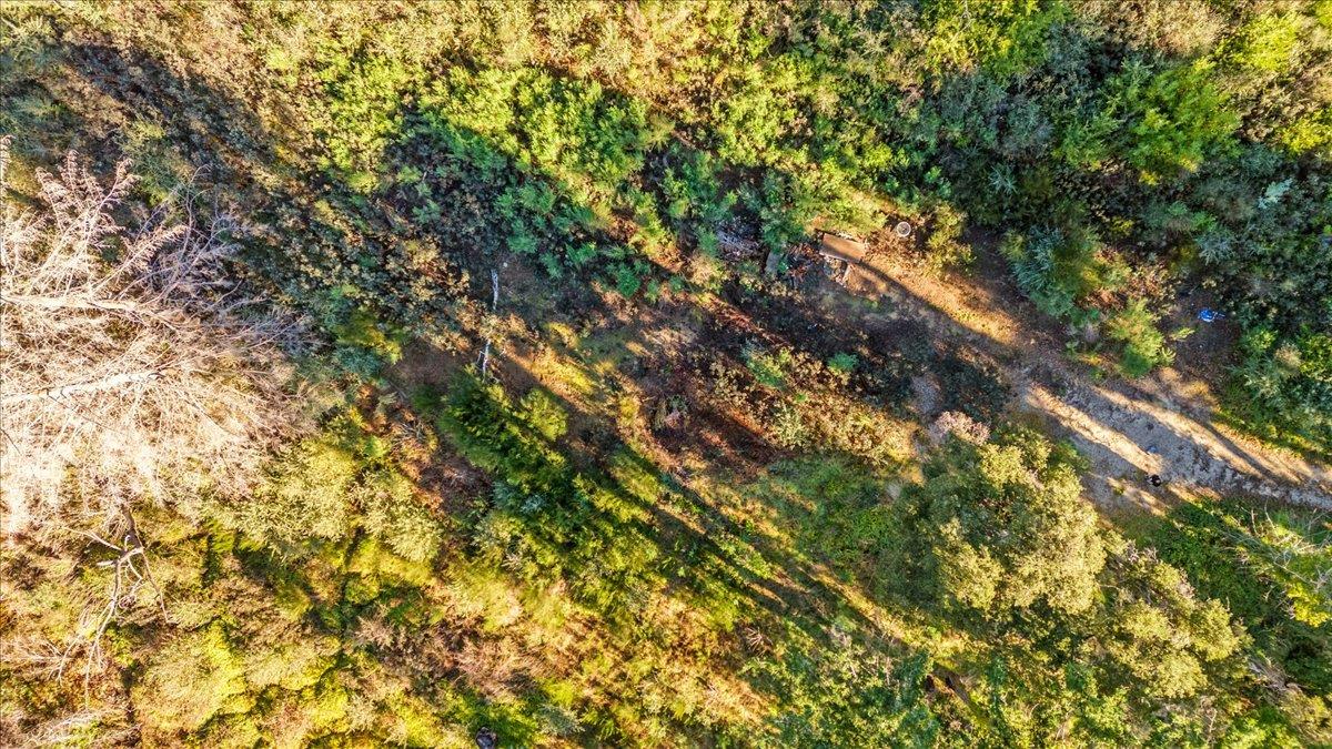 Detail Gallery Image 17 of 28 For 11035 Empire Grade, Santa Cruz,  CA 95060 - – Beds | – Baths