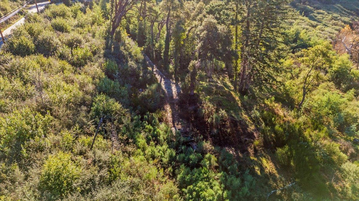 Detail Gallery Image 18 of 28 For 11035 Empire Grade, Santa Cruz,  CA 95060 - – Beds | – Baths