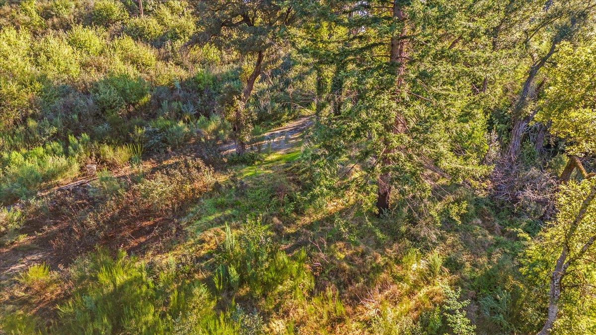 Detail Gallery Image 19 of 28 For 11035 Empire Grade, Santa Cruz,  CA 95060 - – Beds | – Baths