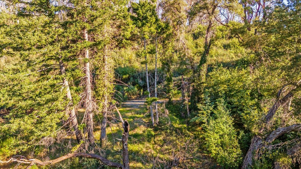 Detail Gallery Image 20 of 28 For 11035 Empire Grade, Santa Cruz,  CA 95060 - – Beds | – Baths