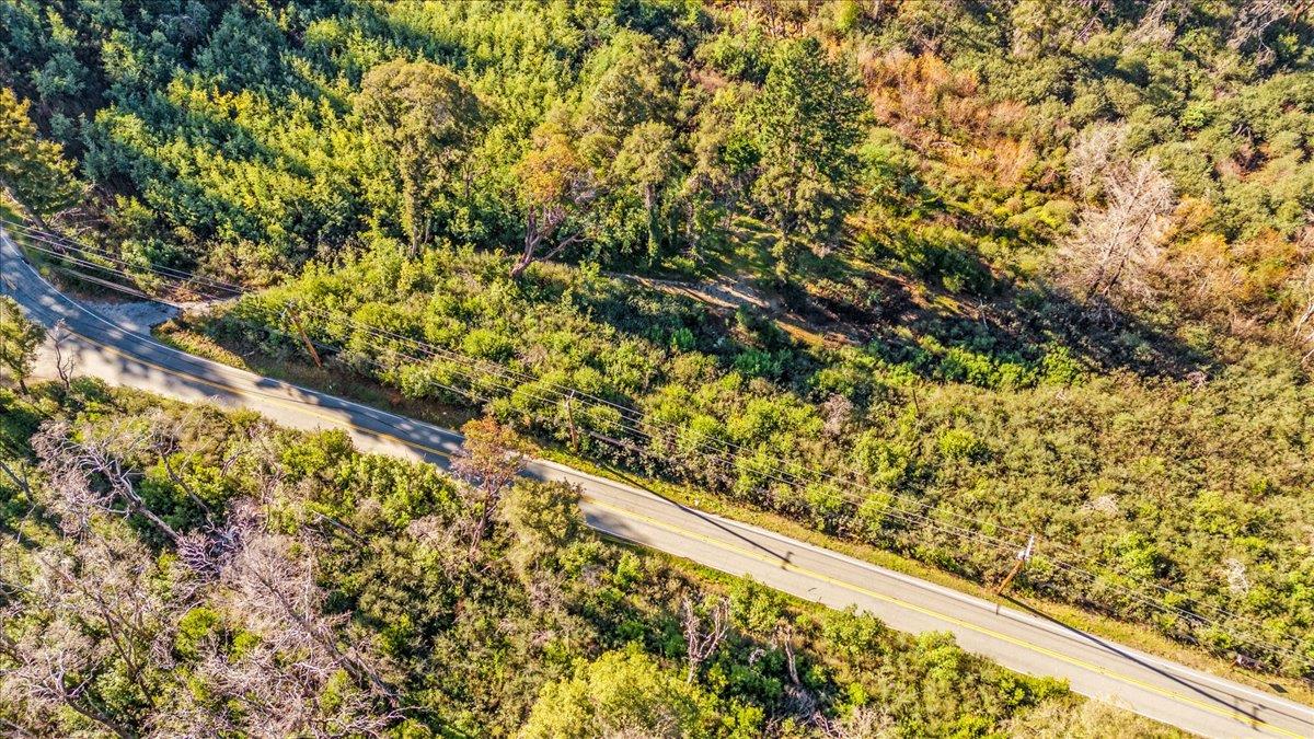 Detail Gallery Image 22 of 28 For 11035 Empire Grade, Santa Cruz,  CA 95060 - – Beds | – Baths