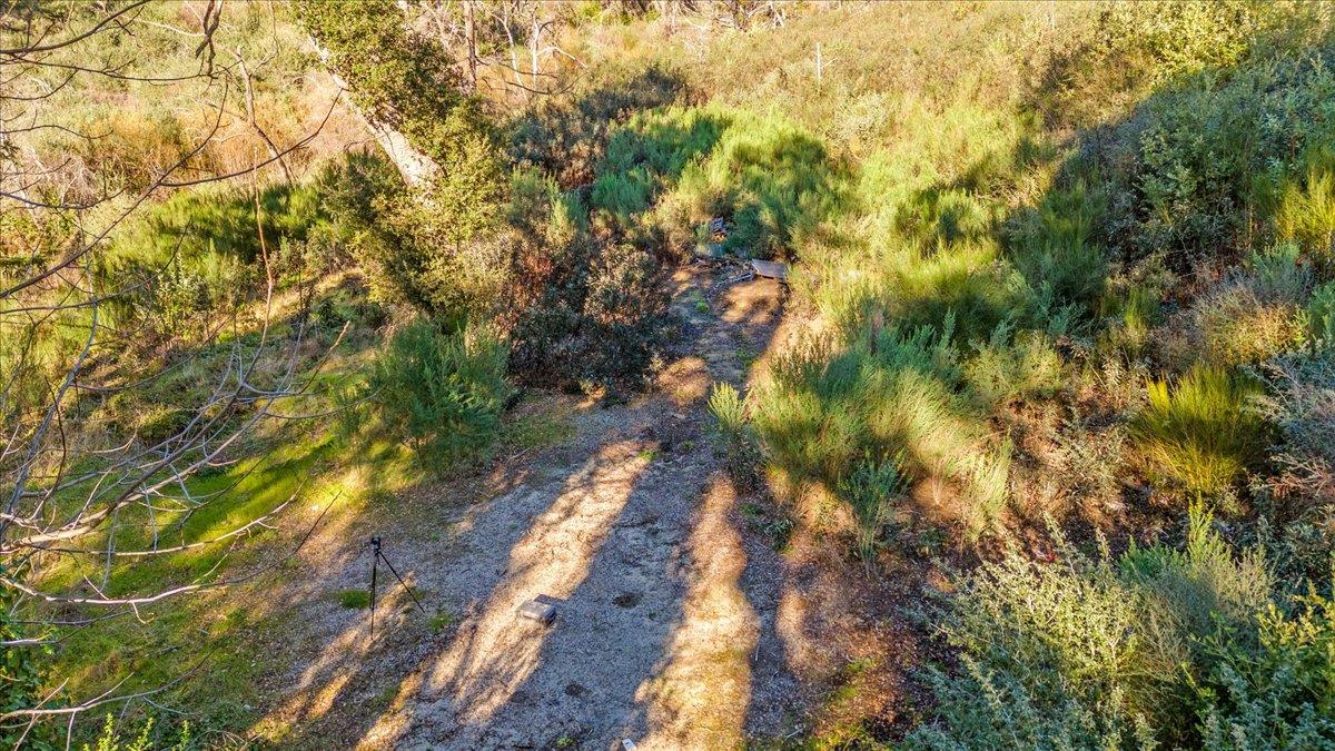 Detail Gallery Image 24 of 28 For 11035 Empire Grade, Santa Cruz,  CA 95060 - – Beds | – Baths