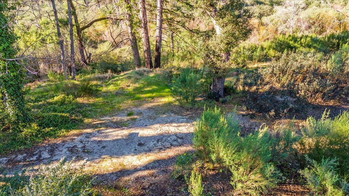 Detail Gallery Image 25 of 28 For 11035 Empire Grade, Santa Cruz,  CA 95060 - – Beds | – Baths