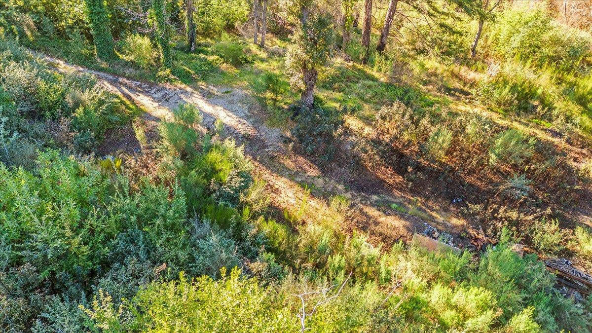 Detail Gallery Image 26 of 28 For 11035 Empire Grade, Santa Cruz,  CA 95060 - – Beds | – Baths