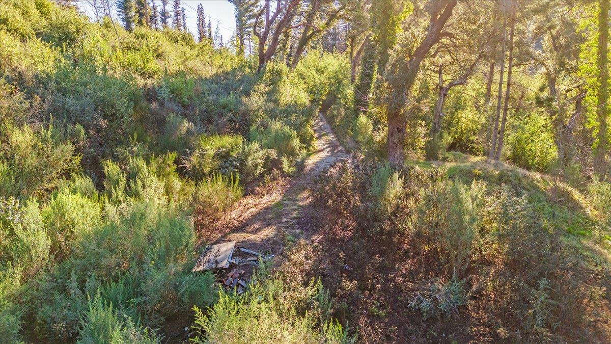 Detail Gallery Image 28 of 28 For 11035 Empire Grade, Santa Cruz,  CA 95060 - – Beds | – Baths