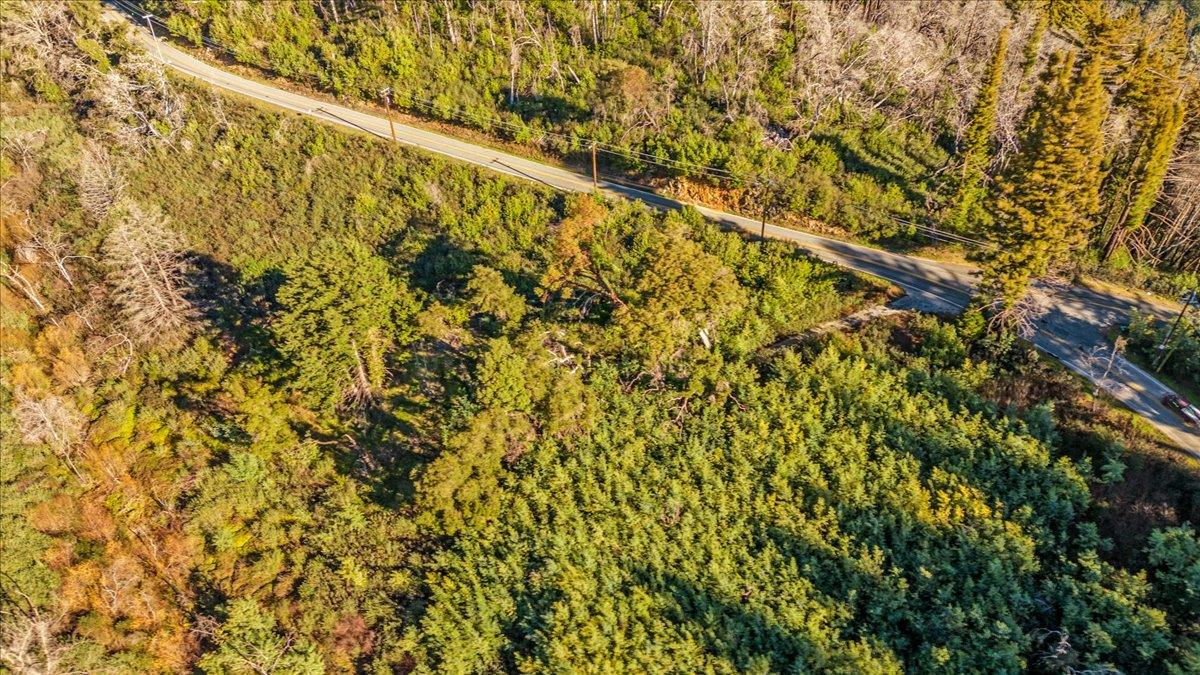 Detail Gallery Image 3 of 28 For 11035 Empire Grade, Santa Cruz,  CA 95060 - – Beds | – Baths