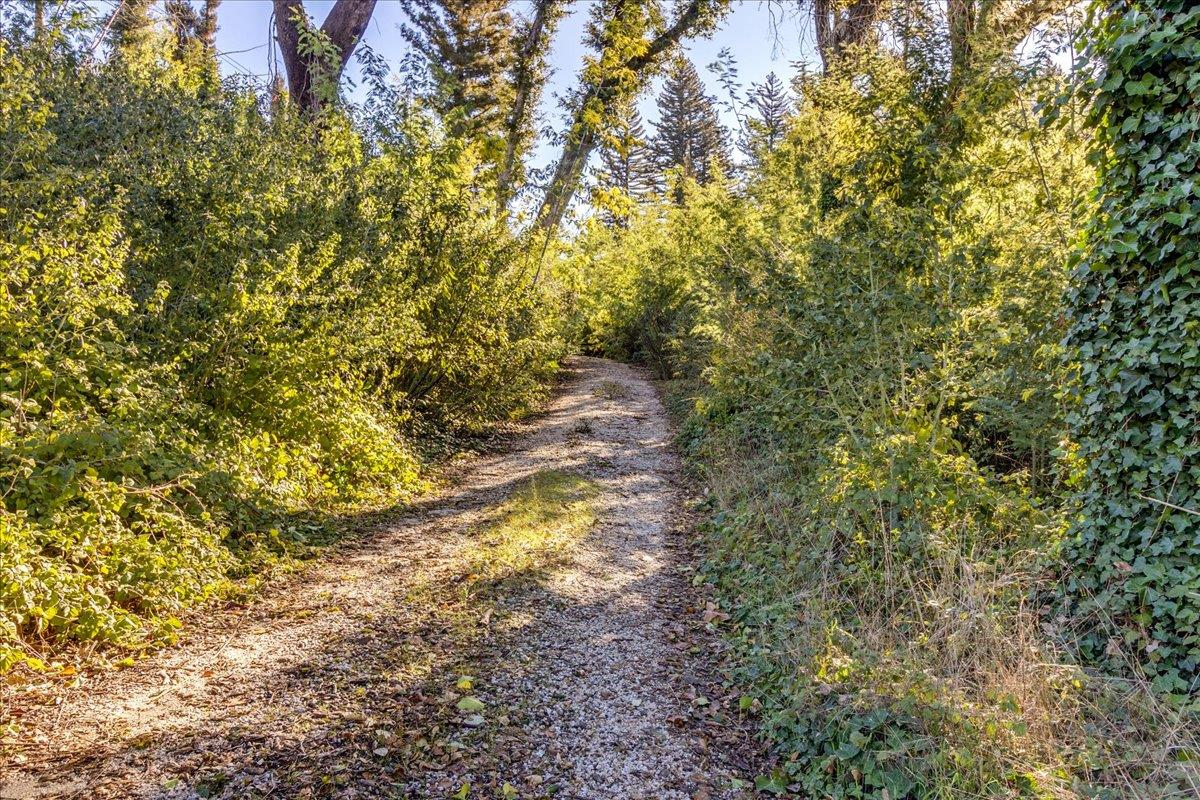 Detail Gallery Image 5 of 28 For 11035 Empire Grade, Santa Cruz,  CA 95060 - – Beds | – Baths